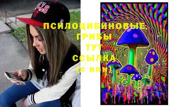 гашик Баксан